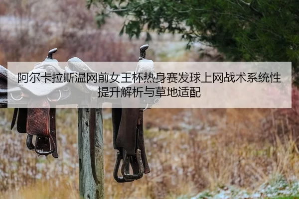 a-er-ka-la-si-wen-wang-qian-nv-wang-bei-re-shen-sai-fa-qiu-shang-wang-zhan-shu-xi-tong-xing-ti-sheng-jie-xi-yu-cao-di-2-520.jpg